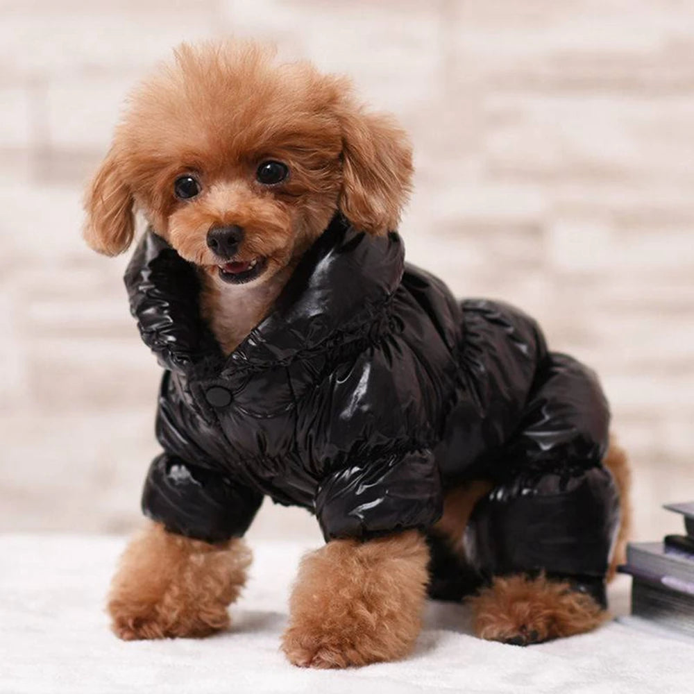 Puffy Dog Jacket