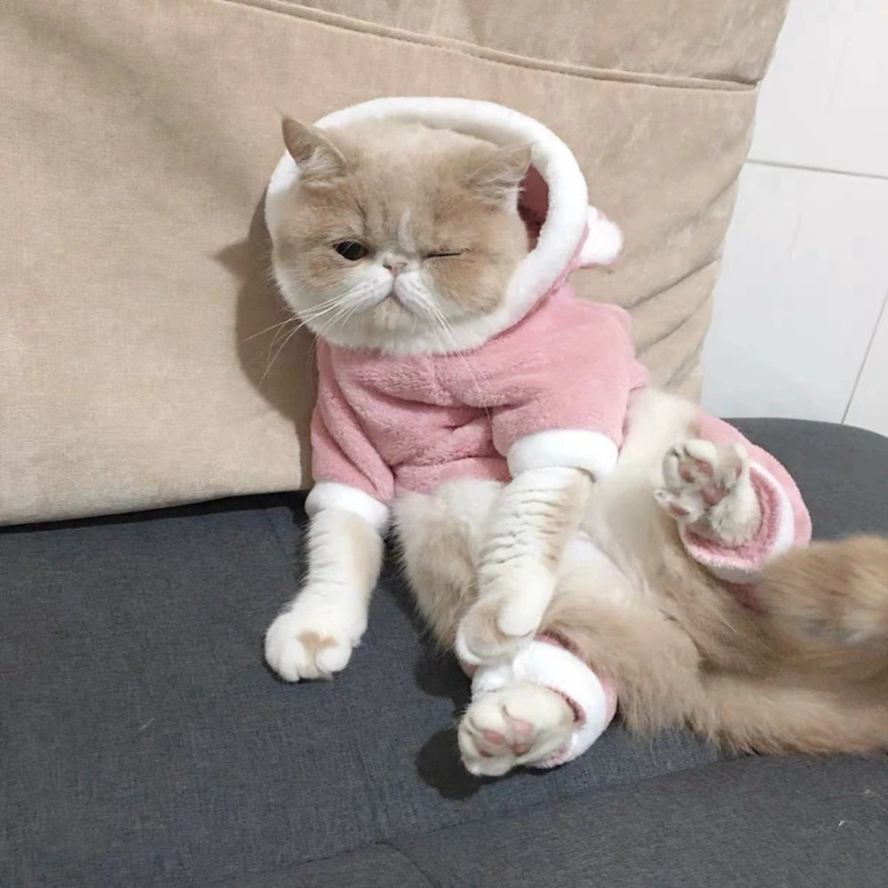 Winter Cute Hoodie For Cats