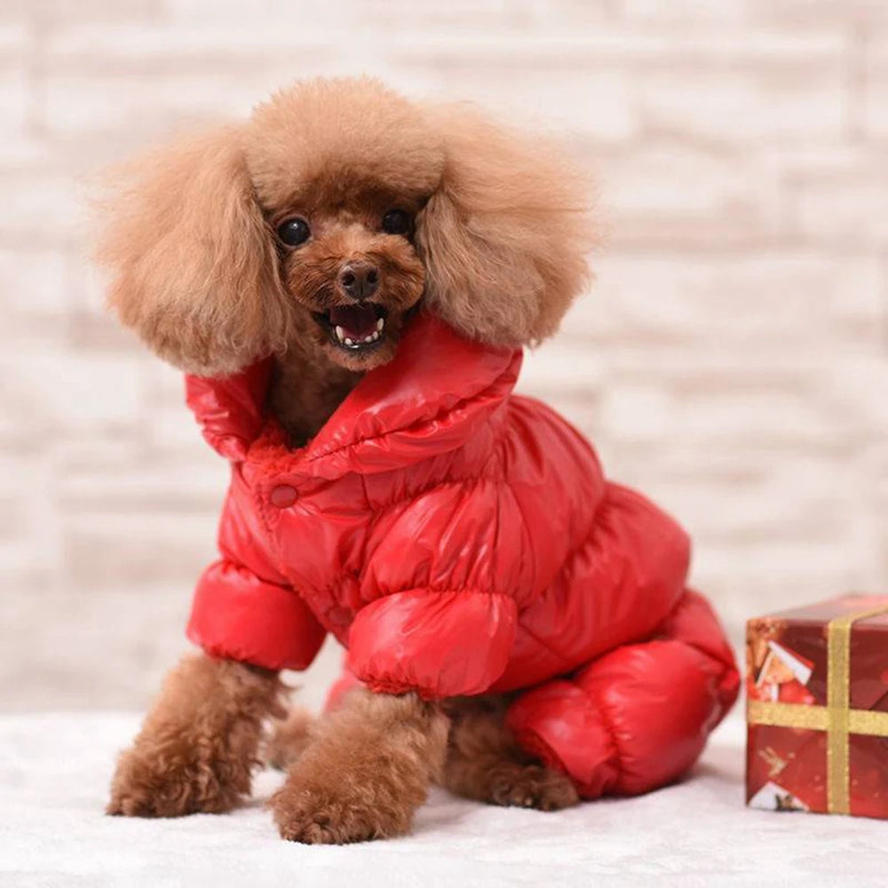 Puffy Dog Jacket