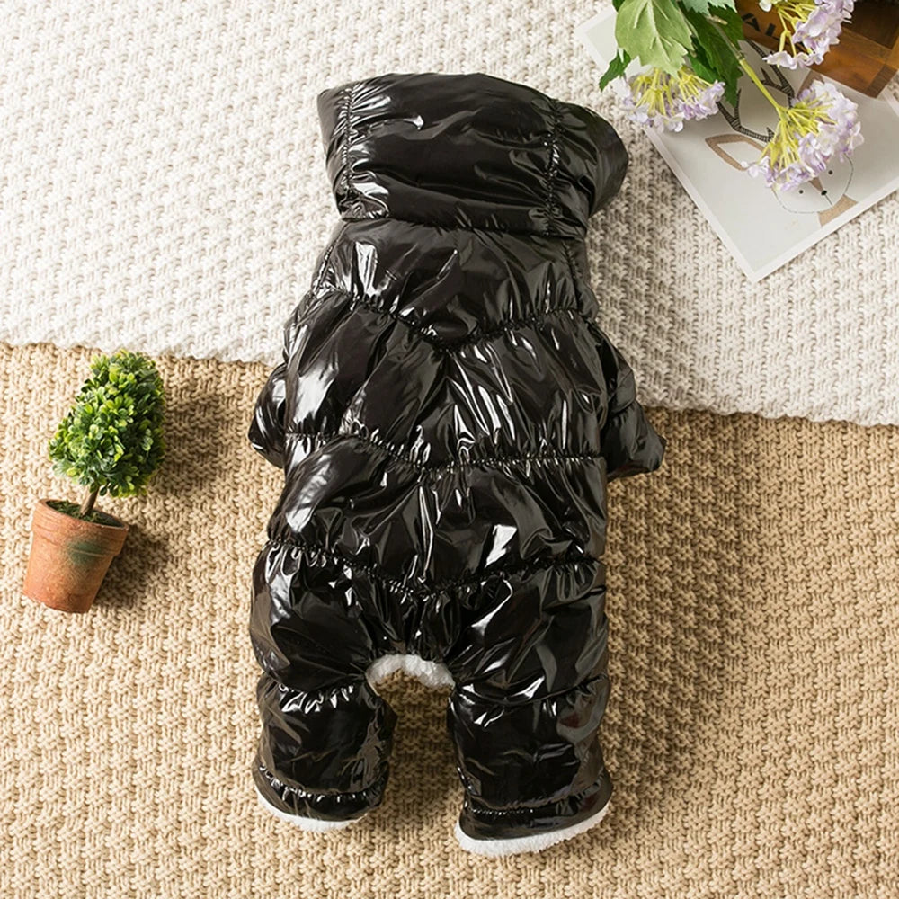 Puffy Dog Jacket