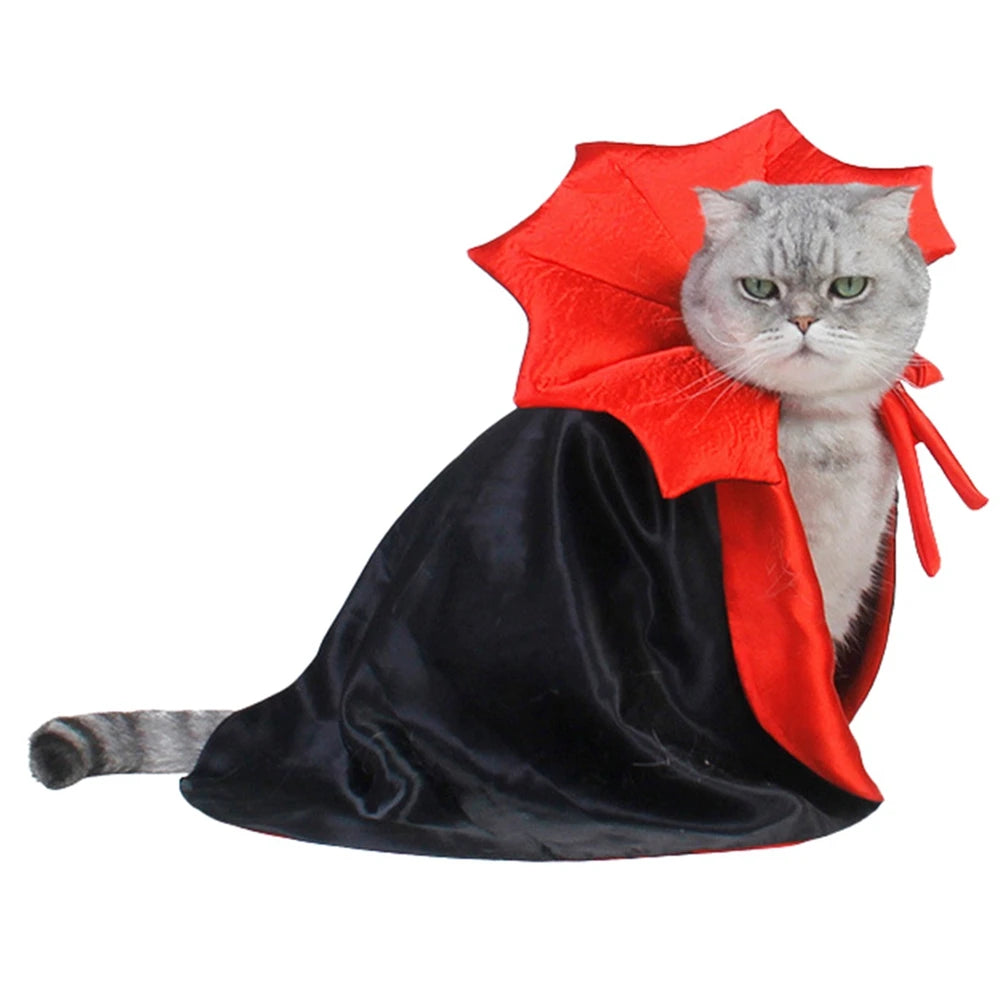 Halloween Costume Kitty Cape