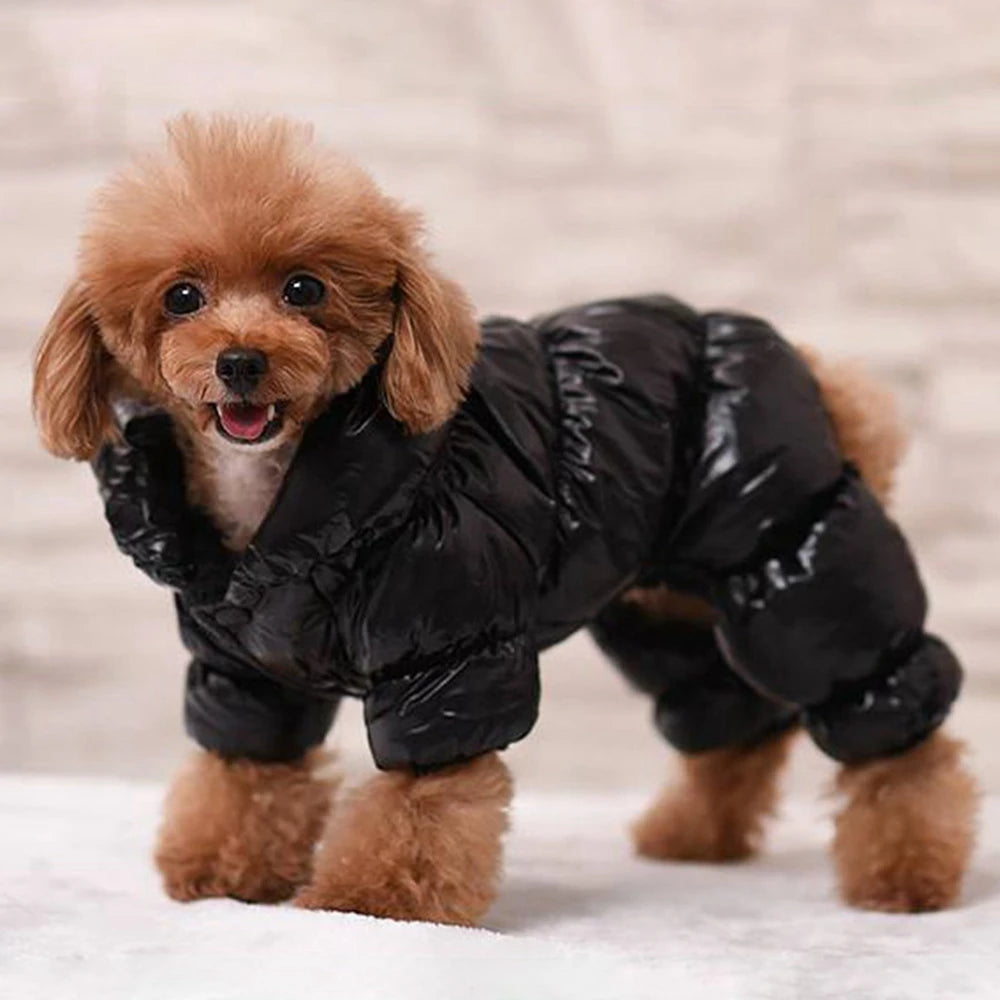 Puffy Dog Jacket