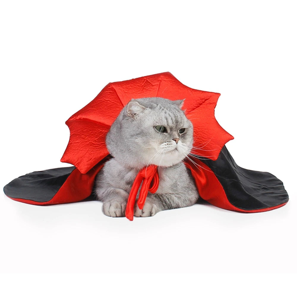 Halloween Costume Kitty Cape