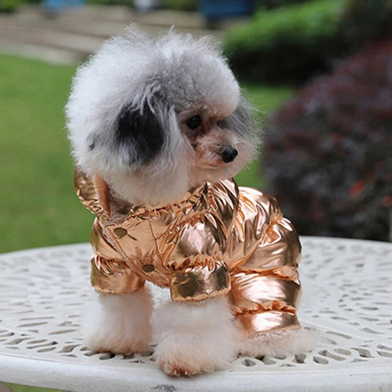 Puffy Dog Jacket