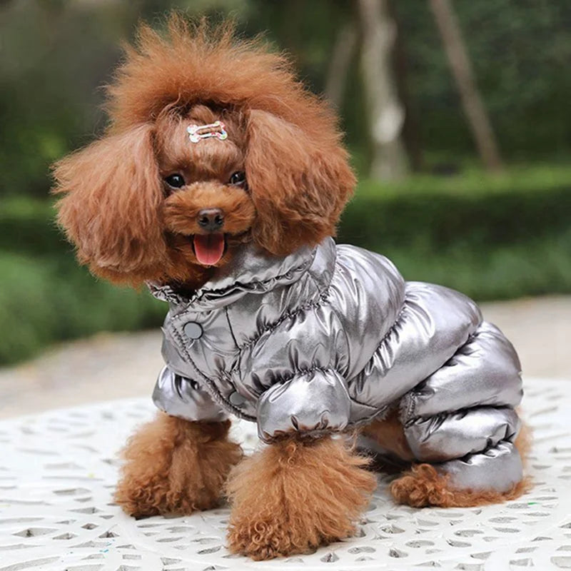 Puffy Dog Jacket