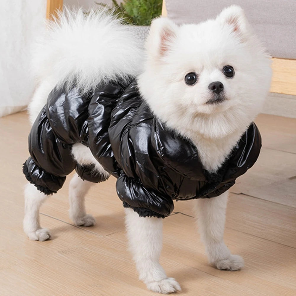 Puffy Dog Jacket
