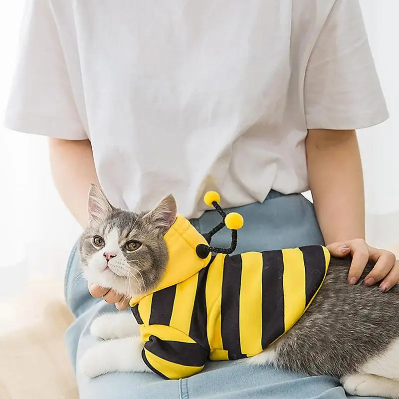 For Autumn And Winter Cat Hoodie Bee Cosplay Costume