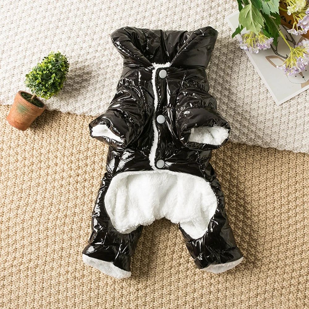 Puffy Dog Jacket