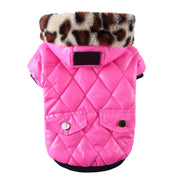 pet clothes