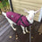 Waterproof Dog Clothes Winter With Harness