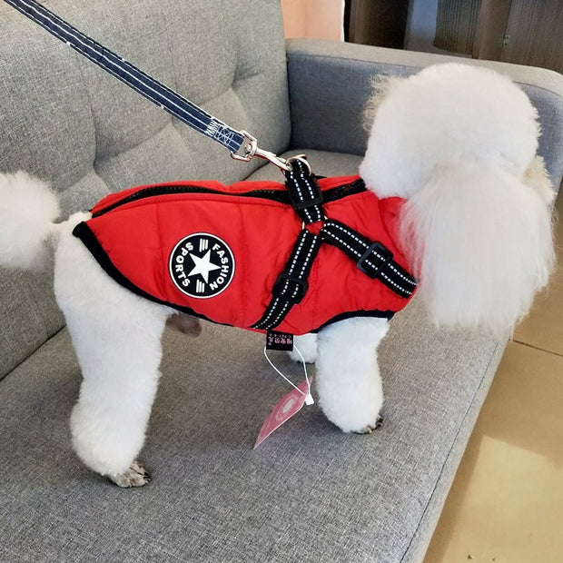 Waterproof Dog Clothes Winter With Harness
