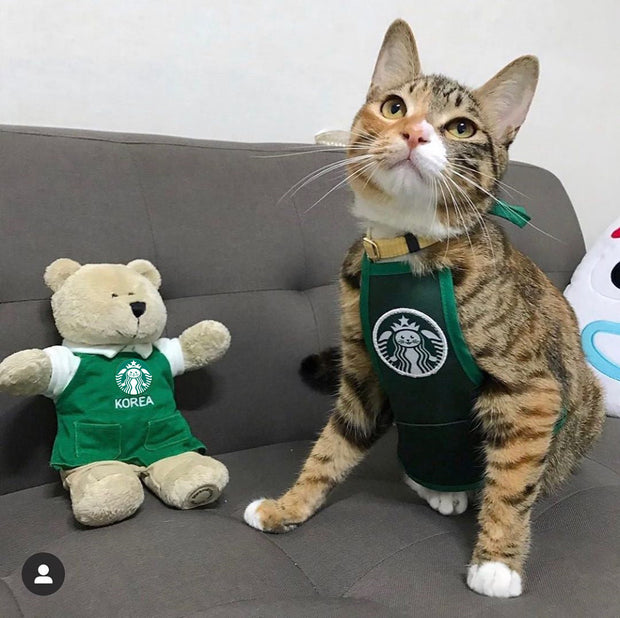 Cute Cat Dog Barista Apron