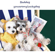 Dog Clothes Summer Dress