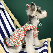 Dog Clothes Summer Dress