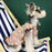 Dog Clothes Summer Dress