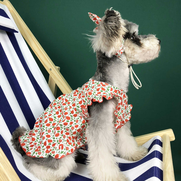 Dog Clothes Summer Dress