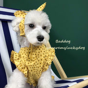Dog Clothes Summer Dress