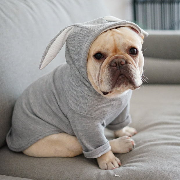Dog Pet Clothes
