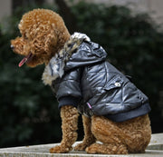 pet clothes