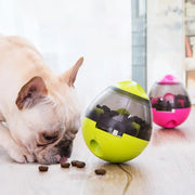 Pets Interactive Treat Toys