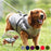 Waterproof Dog Clothes Winter With Harness