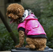 pet clothes