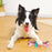 Dog Chew Teeth Cleaning Dog Bone Toy