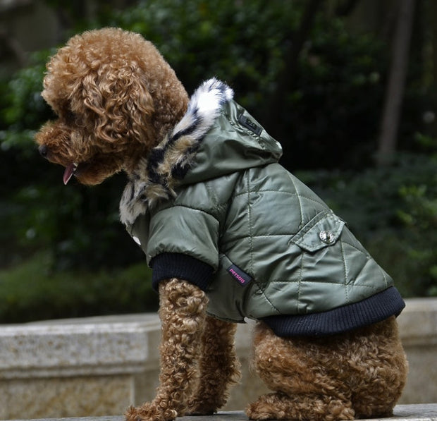 pet clothes