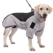Winter Dog Coat
