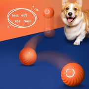 Dog Rubber Chew Bite Ball Toy