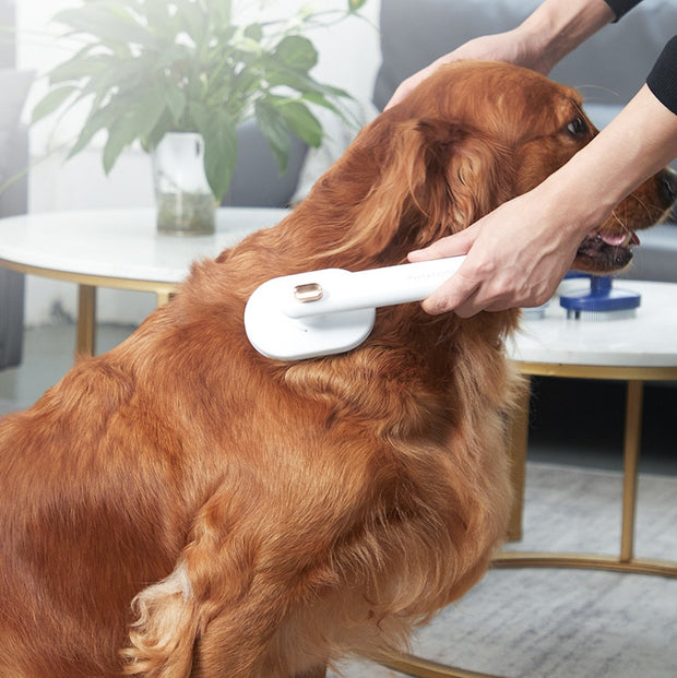 Pet Comb Cat Dog To Remove Hair Pet Brush Cleaning