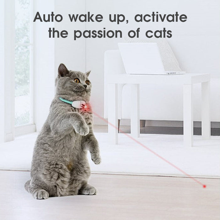 Automatic Cat Toy
