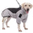 Winter Dog Coat