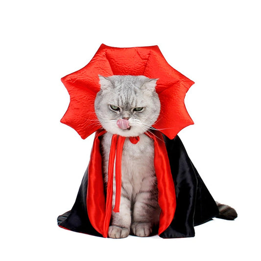 Halloween Costume Kitty Cape