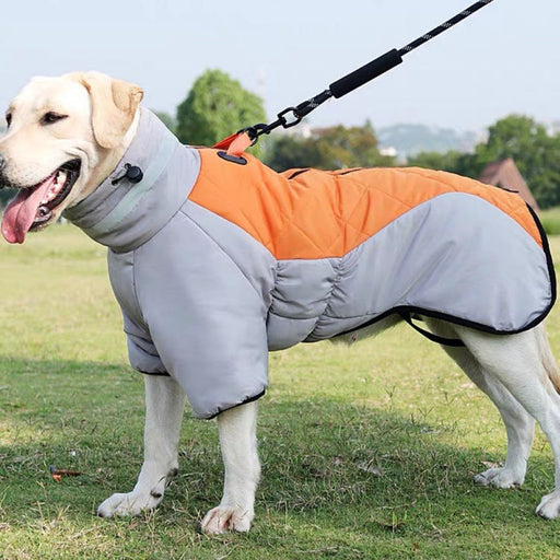 Winter Dog Coat