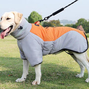 Winter Dog Coat