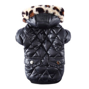 pet clothes