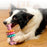 Dog Chew Teeth Cleaning Dog Bone Toy