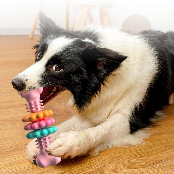 Dog Chew Teeth Cleaning Dog Bone Toy