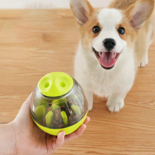 Pets Interactive Treat Toys