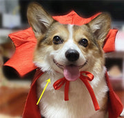 Halloween Pet Costumepet