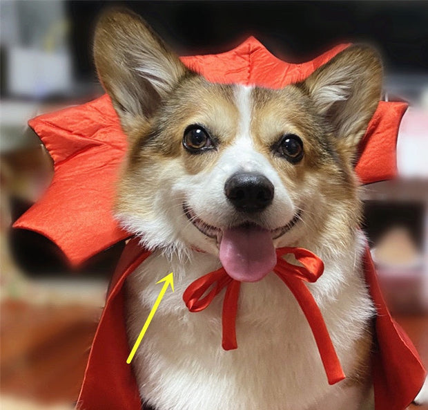 Halloween Pet Costumepet